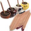 Wood Sprout Pencil - Image 2