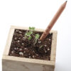 Wood Sprout Pencil - Image 3